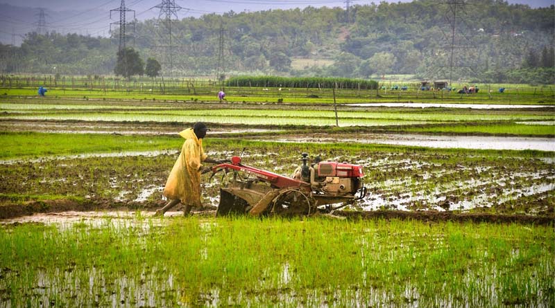 India Kharif Sowing Trails Last Year by 42.28 Lakh Hectares