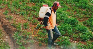 India Proposes Complete Ban on Paraquat Dichloride, Invites Industry Feedback