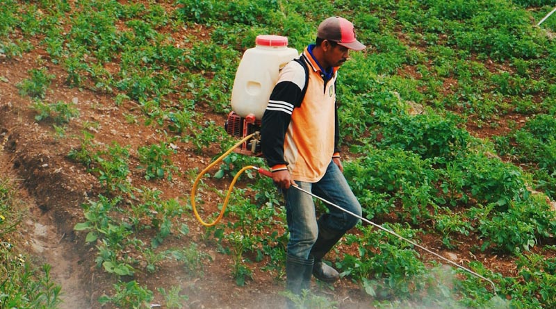 India Proposes Complete Ban on Paraquat Dichloride, Invites Industry Feedback