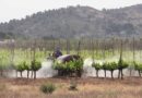 Indian Agrochemical Association Challenges Pesticide Claims in Upcoming Film