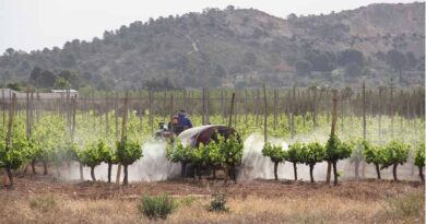 Indian Agrochemical Association Challenges Pesticide Claims in Upcoming Film Indian Agrochemical Association Challenges Pesticide Claims in Upcoming Film