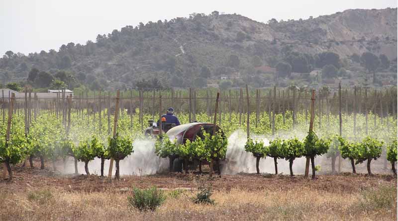 Indian Agrochemical Association Challenges Pesticide Claims in Upcoming Film