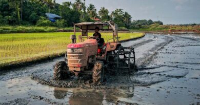India's Kharif Sowing Falls Behind Last Year, Soybean, Rice and Cotton Lead Decline