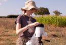 Investing In Future Solutions For Yellow Rust