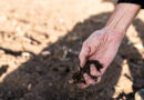 Invisible Pollutants How Microplastics Are Transforming Soil Ecosystem