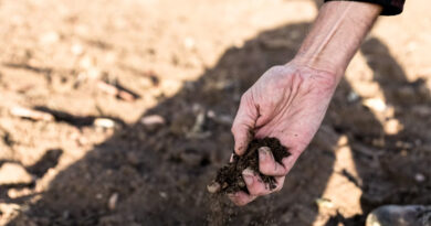 Invisible Pollutants How Microplastics Are Transforming Soil Ecosystem
