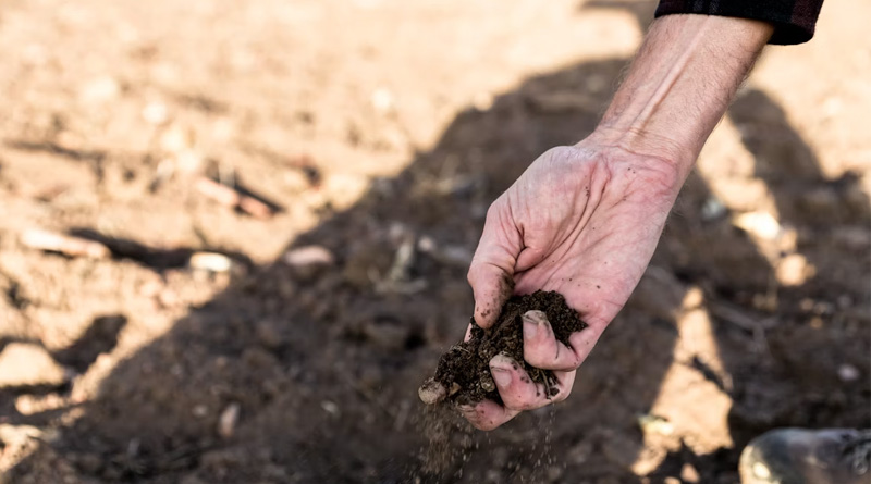 Invisible Pollutants How Microplastics Are Transforming Soil Ecosystem