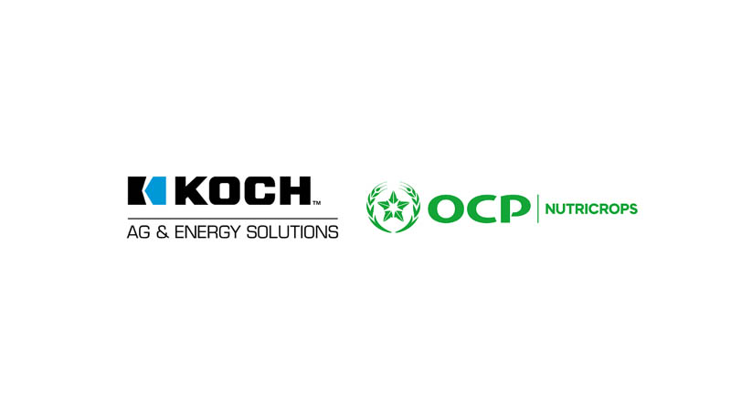 Koch Ag & Energy Solutions and OCP to Expand Long-Standing Partnership with New Joint Venture