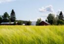 La Caisse and GO.FARM Launch AUD 330 Million Platform to Invest in Australian Permanent Crops