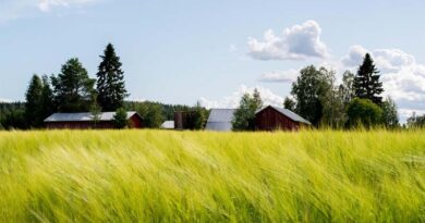 La Caisse and GO.FARM Launch AUD 330 Million Platform to Invest in Australian Permanent Crops La Caisse and GO.FARM Launch AUD 330 Million Platform to Invest in Australian Permanent Crops