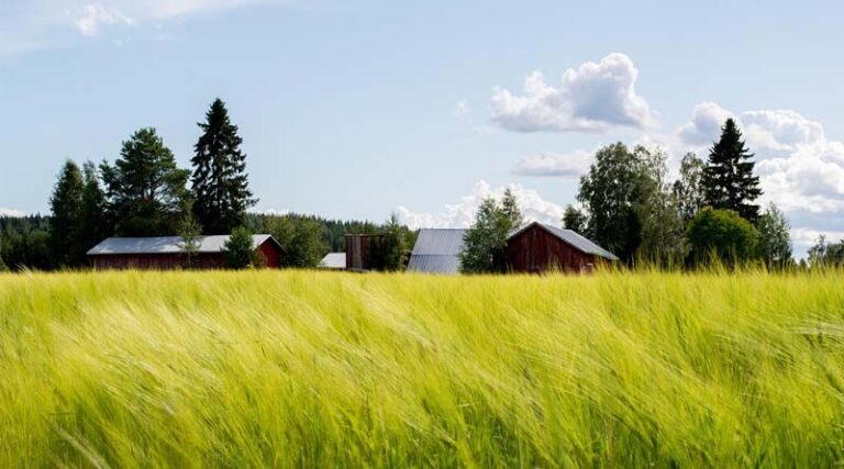 La Caisse and GO.FARM Launch AUD 330 Million Platform to Invest in Australian Permanent Crops