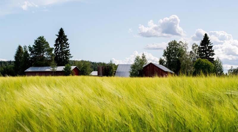 La Caisse and GO.FARM Launch AUD 330 Million Platform to Invest in Australian Permanent Crops