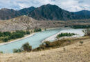Ladakh Bans Chemical Fertilisers to Accelerate Transition to Fully Organic Agriculture
