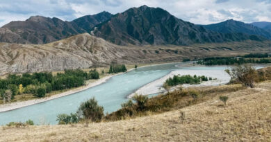 Ladakh Bans Chemical Fertilisers to Accelerate Transition to Fully Organic Agriculture Ladakh Bans Chemical Fertilisers to Accelerate Transition to Fully Organic Agriculture