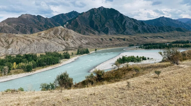 Ladakh Bans Chemical Fertilisers to Accelerate Transition to Fully Organic Agriculture