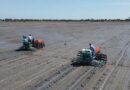 NZ and CGIAR Extend Partnership for Asian Delta Food & Climate Security