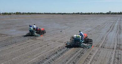 NZ and CGIAR Extend Partnership for Asian Delta Food & Climate Security