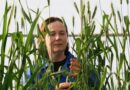 New GRDC Nitrogen Research Could Deliver Future Crop Options