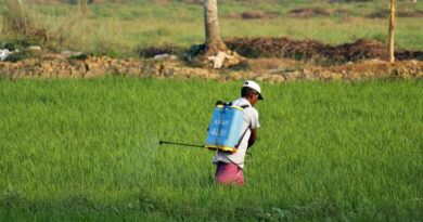 Paraquat Dichloride and Carbosulfan May Get Banned in India Paraquat Dichloride and Carbosulfan May Get Banned in India