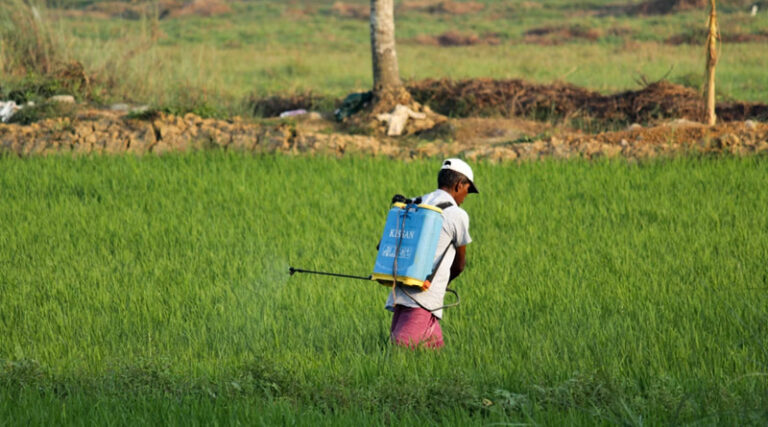 Paraquat Dichloride and Carbosulfan May Get Banned in India