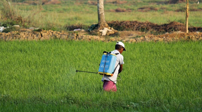 Paraquat Dichloride and Carbosulfan May Get Banned in India