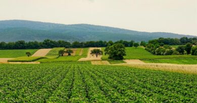 Pradhan Mantri Krishi Sinchayee Yojana Pradhan Mantri Krishi Sinchayee Yojana
