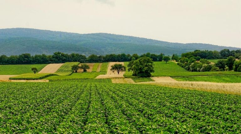 Pradhan Mantri Krishi Sinchayee Yojana