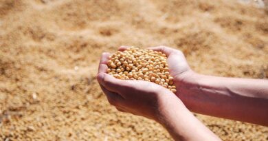 Pre-Plant Incorporation (PPI) Herbicides in Soybean in India Pre-Plant Incorporation (PPI) Herbicides in Soybean in India
