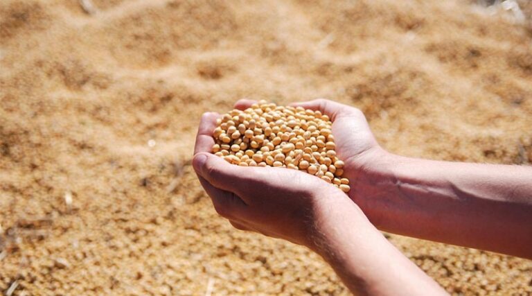 Pre-Plant Incorporation (PPI) Herbicides in Soybean in India
