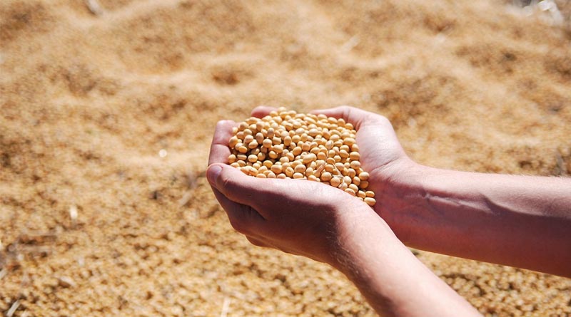 Pre-Plant Incorporation (PPI) Herbicides in Soybean in India