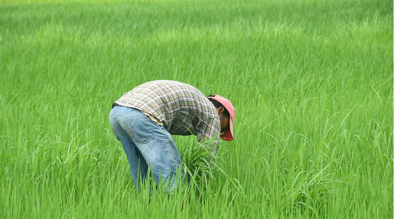 Progress In Generating Unique Digital Farmer IDS