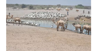 Putting Pastoral Communities First In Information Systems