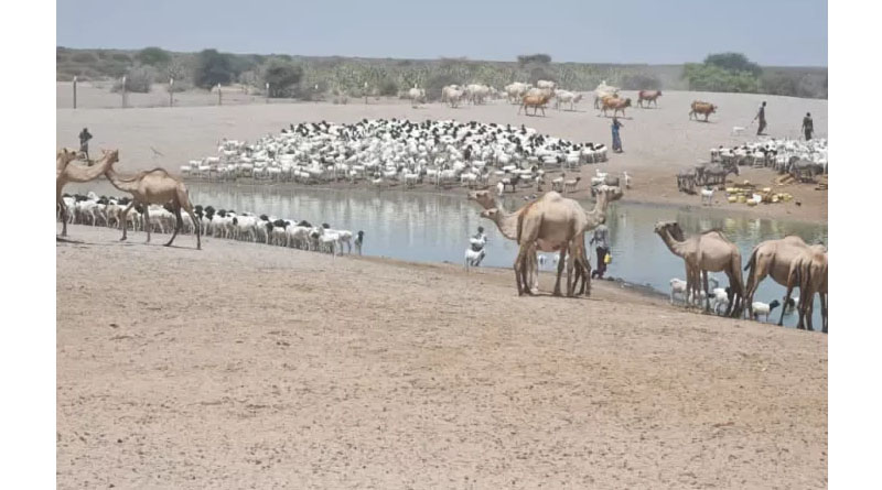 Putting Pastoral Communities First In Information Systems