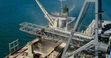 Research Shows Ways To Strategically Manage Trade Barriers