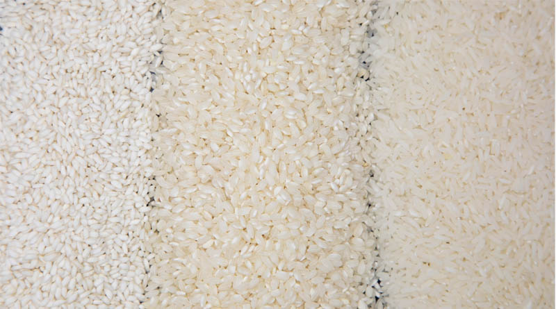 Researchers Call For A New Integrated Blueprint For Crop Improvement To Tackle Hunger, Malnutrition, And Climate Change
