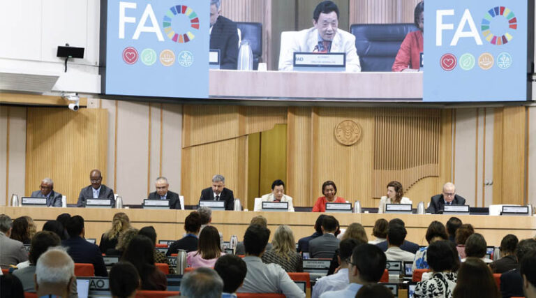 SOFI 2026 Hunger not Inevitable, FAO says as Global Hunger Report Shows Progress