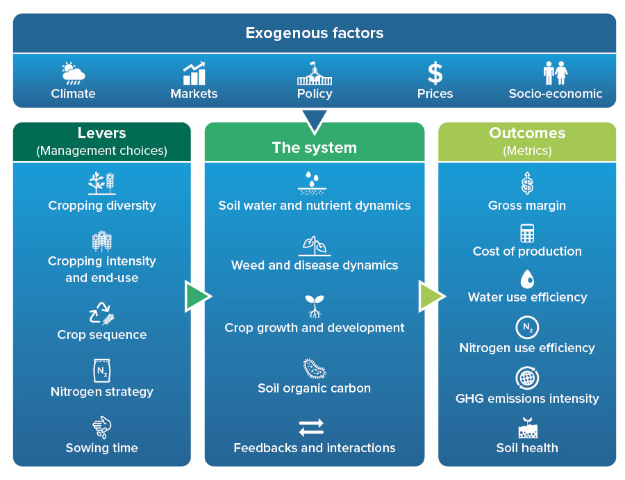 Beyond The Baseline: First Lessons From Farming Systems Trials