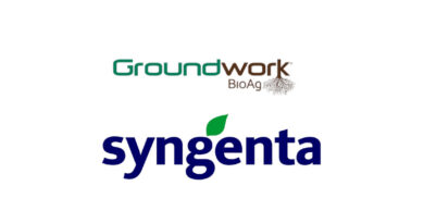 Syngenta Partners With Groundwork BioAg for Biologicals and Soil Carbon Solutions Syngenta Partners With Groundwork BioAg for Biologicals and Soil Carbon Solutions