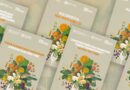 The Codex Alimentarius Commission Strategic Plan 2026–2031 Is Online In Six Languages