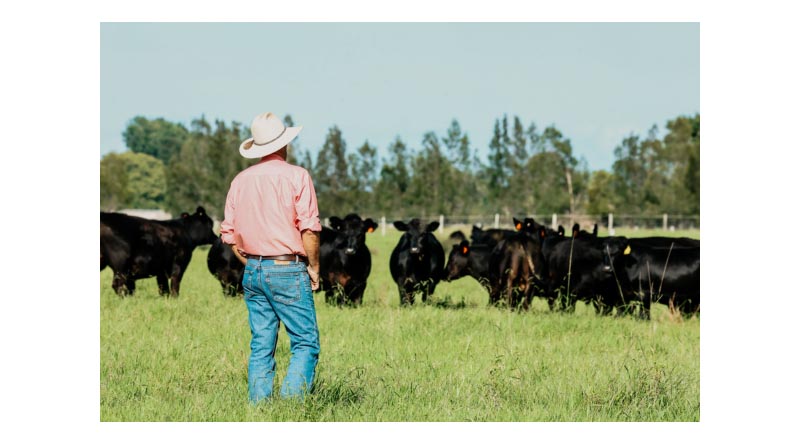 Top Tips For Proactive Farm Safety