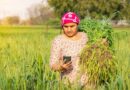 Turning Agricultural Data Into Action