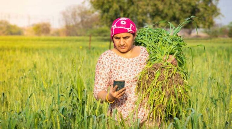 Turning Agricultural Data Into Action