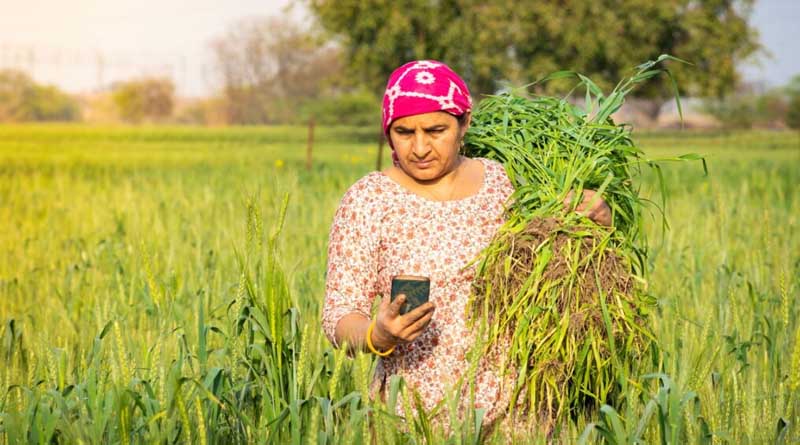 Turning Agricultural Data Into Action