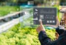 USDA Asks Partners to Develop AI Solutions to Accelerate Crop Innovation
