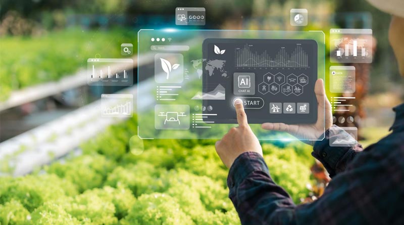 USDA Asks Partners to Develop AI Solutions to Accelerate Crop Innovation