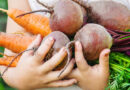 USDA Makes American Children Healthier, Agriculture Stronger with More Farm to School Investments
