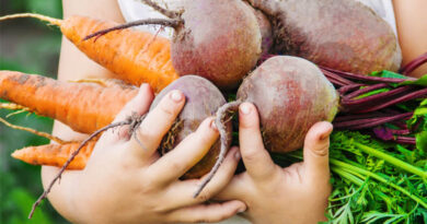 USDA Makes American Children Healthier, Agriculture Stronger with More Farm to School Investments USDA Makes American Children Healthier, Agriculture Stronger with More Farm to School Investments