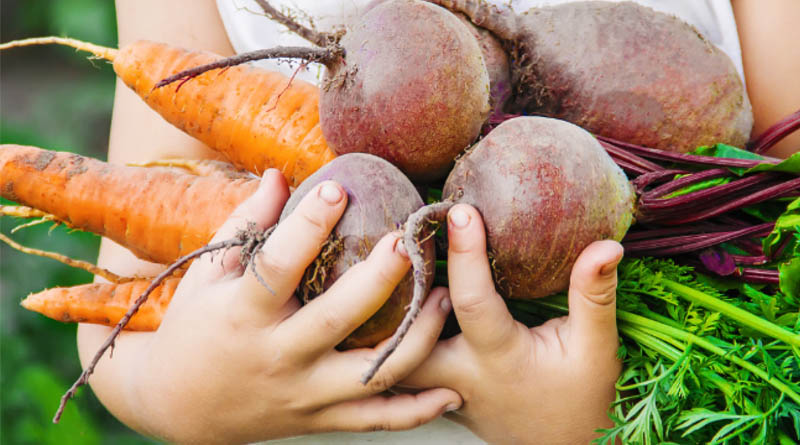 USDA Makes American Children Healthier, Agriculture Stronger with More Farm to School Investments