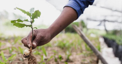 India's Agricultural Biologicals Market Offers Multi-Billion Dollar Investment Opportunity as Sector Scales for Future Growth India's Agricultural Biologicals Market Offers Multi-Billion Dollar Investment Opportunity as Sector Scales for Future Growth