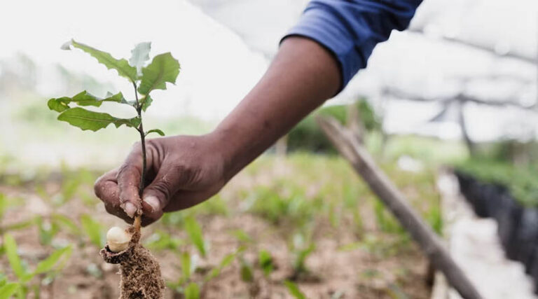 India's Agricultural Biologicals Market Offers Multi-Billion Dollar Investment Opportunity as Sector Scales for Future Growth